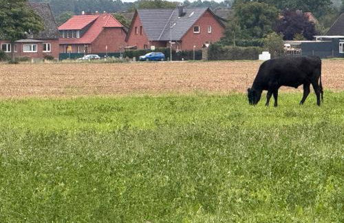Heiderast Wipperau - Foto 35