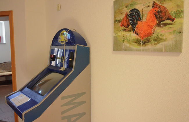 Classy Holiday Home in Deutschneudorf near Glockenwanderweg - Photo 12