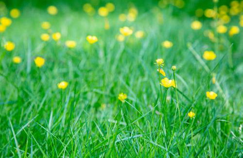 SerraVale - House & Nature - Foto 54