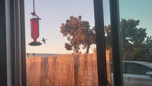 Starlite View - Foto 2