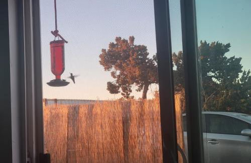 Starlite View - Foto 2