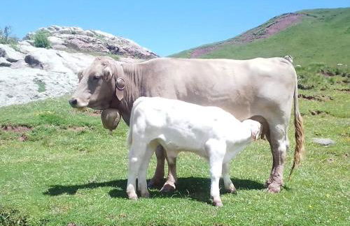 Ático LA FLOR DEL SOL - Foto 45