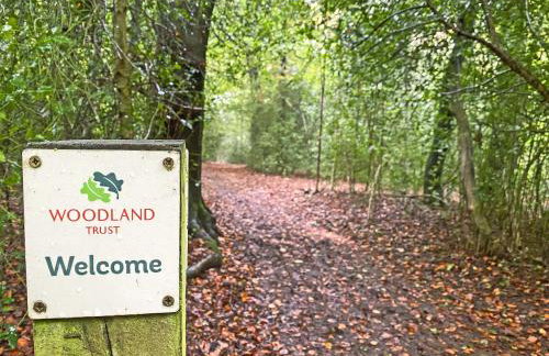 Woodland Lodge - Foto 21