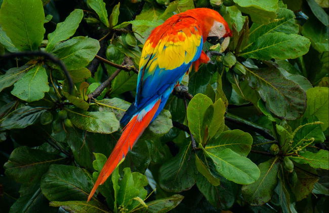 Randonnée au cerro del Mono - Photo 7