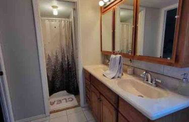 Gigi's Spacious Lakefront with Boat Ramp Access!! Newly Remodeled, Sleeps 8! - Foto 8