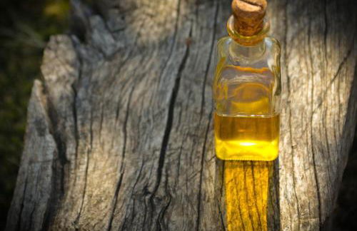 Tropical Studio - Foto 51