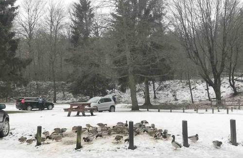 The Long Hall 2 bed ground floor annexed apartment - sleeps 6 - Foto 11