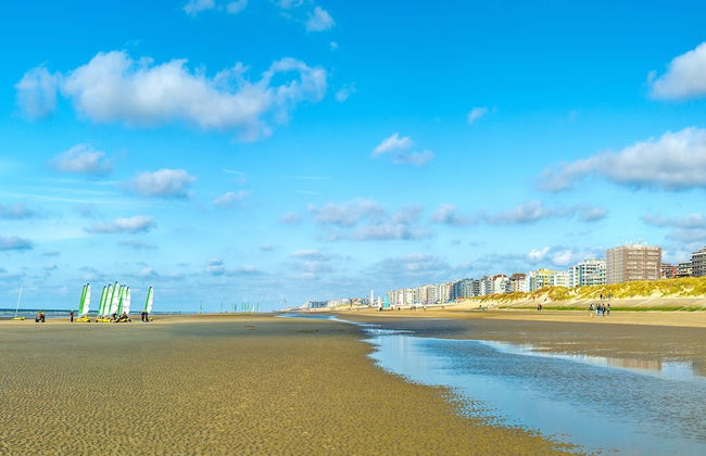 Westhinder 200m From Sea - Foto 21