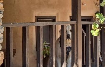 Casas na montanha vistas fantásticas com piscina - Foto 35