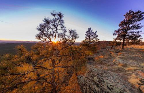Forest Cabin 3 Bear's Den - Photo 26