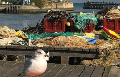 Entre Seulles & Mer proche port de Plaisance - Photo 30
