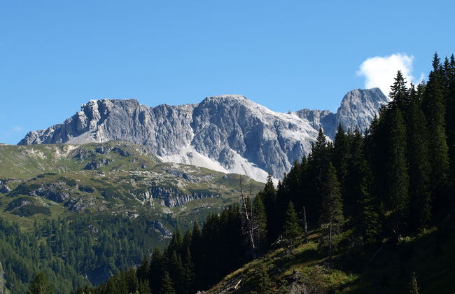 Apartment Wilfer - Foto 28