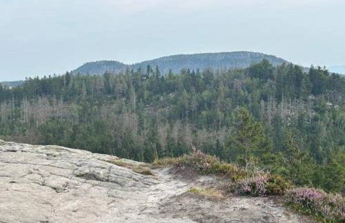 SUDECKA K0RONA domki całoroczne - Foto 30