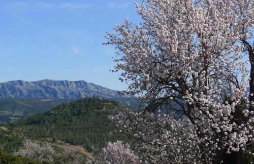 Yourte Nature / Gîte Saint Roch - Foto 27