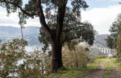 Casa da Torre, Porto Manso - Foto 44