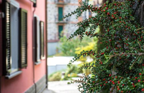 Residence Casa Rosa - Foto 33