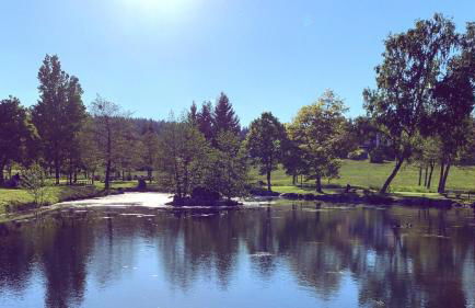 daheim im hirschen - Foto 23