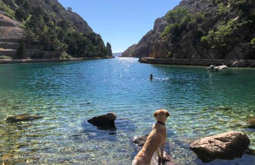 House Bralići - Foto 41