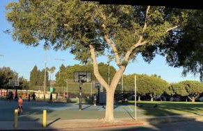 Cheerful house with EV, Parking & backyard - Foto 14