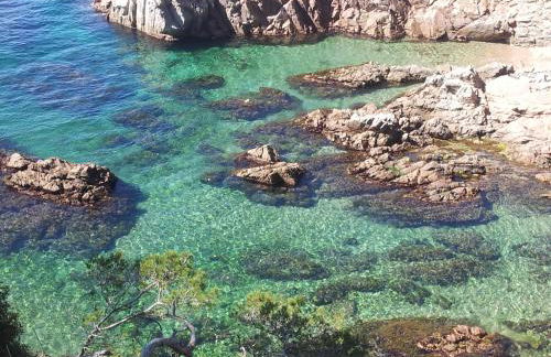 Apartamento Familiar en Tamariu - Foto 6