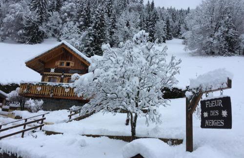 Chalet Fleur des Neiges - Foto 16