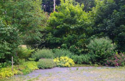 Grünes Ferienhaus - Foto 38