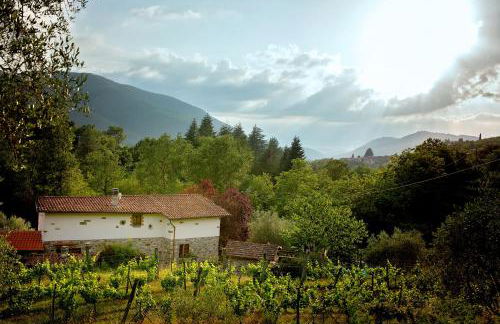 MULINO VECCHIO - Foto 27