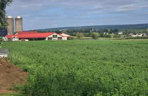 Amish Country Stay w/ Buggy Ride - Foto 12