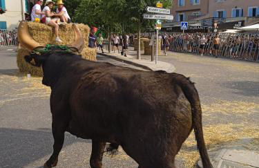 le clos du ventoux - Photo 26