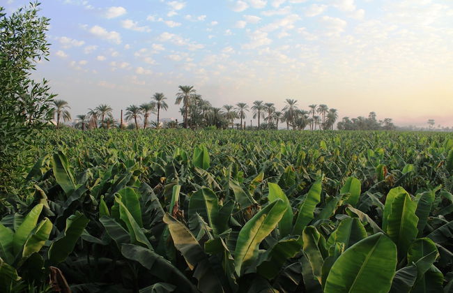 Adam Apartments - Foto 60