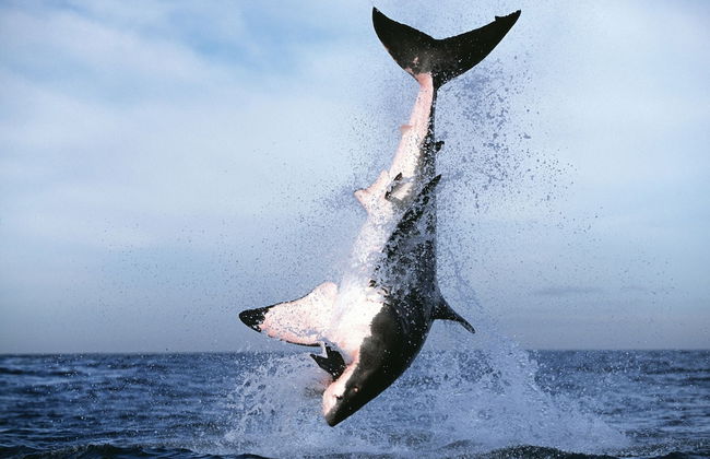 702 Canal Quays - Foto 25