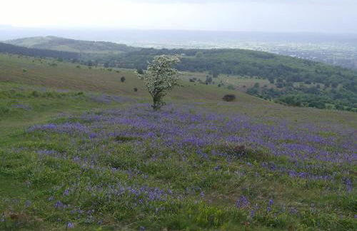 Pear Tree Cottages - Photo 12