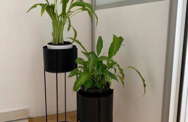 Apartment Nina - Foto 31