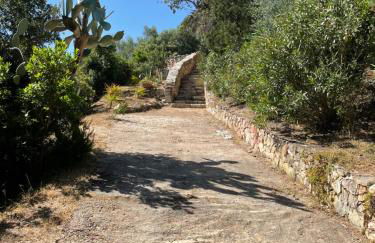 Villa Marinella - Foto 58