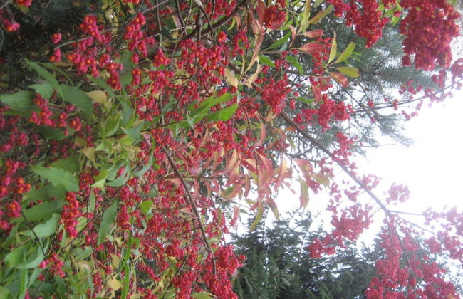 Holiday Home Monkfish House - Photo 13