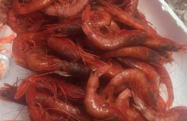 Residenza sul Mare Baia Cornino - Foto 54