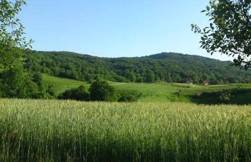 Apartment Rosandić - Foto 12