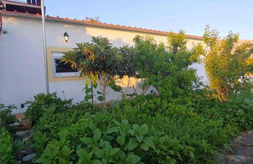 Cape Maleas - Foto 15