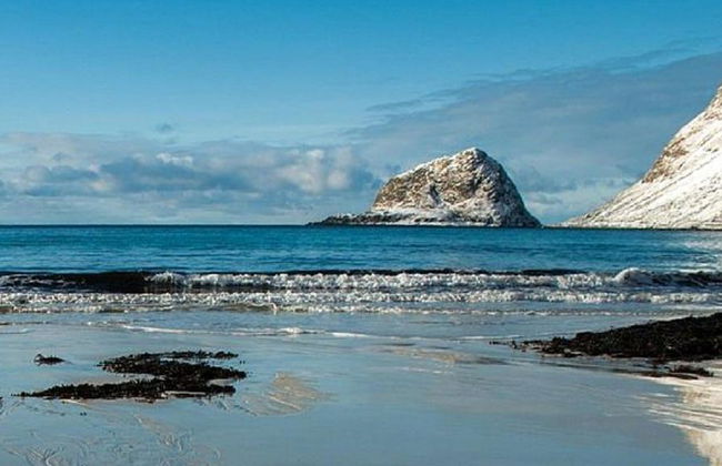 Winter in den Lofoten - Halbtagestour in kleiner Gruppe - Foto 1