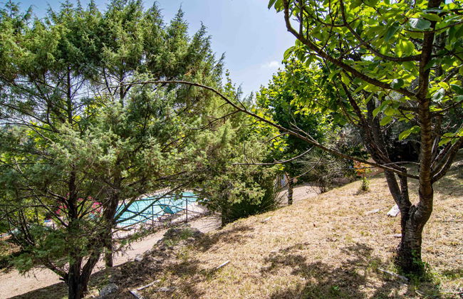 L'Agapanthe - Foto 29