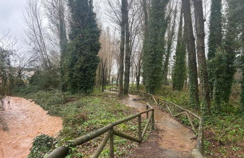 Casa Rural Nacimiento del Hueznar - Tomillo 17 - Foto 48