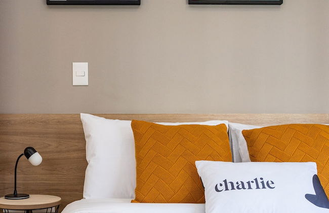 Charlie Franca Jardim Paulista - Photo 6