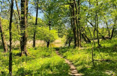 Apartament Jerzyn - Foto 42