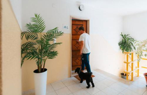 Alfaiate Beach House - Foto 36