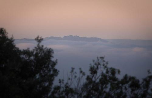 Mas Saint Antoine - Foto 26