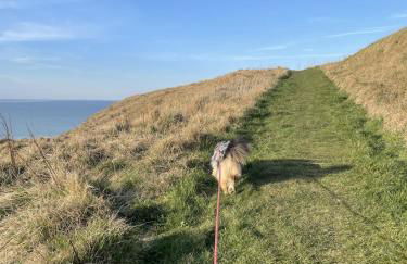 Le Chalet Léna - Foto 40