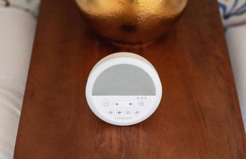 Historic 1897 Bill Murray House, DT Charm, Game Room and Parking - Foto 29