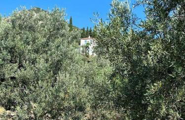 Maison de vacances pour 6 personnes - Photo 44