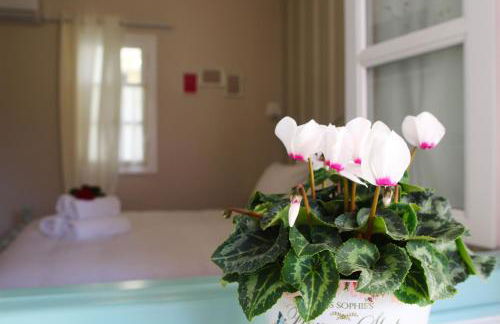 Sugar Home - Foto 62