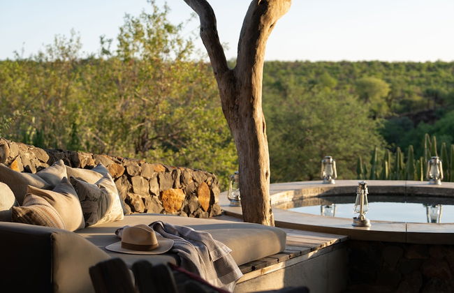 Euphorbia Mashatu - Foto 17